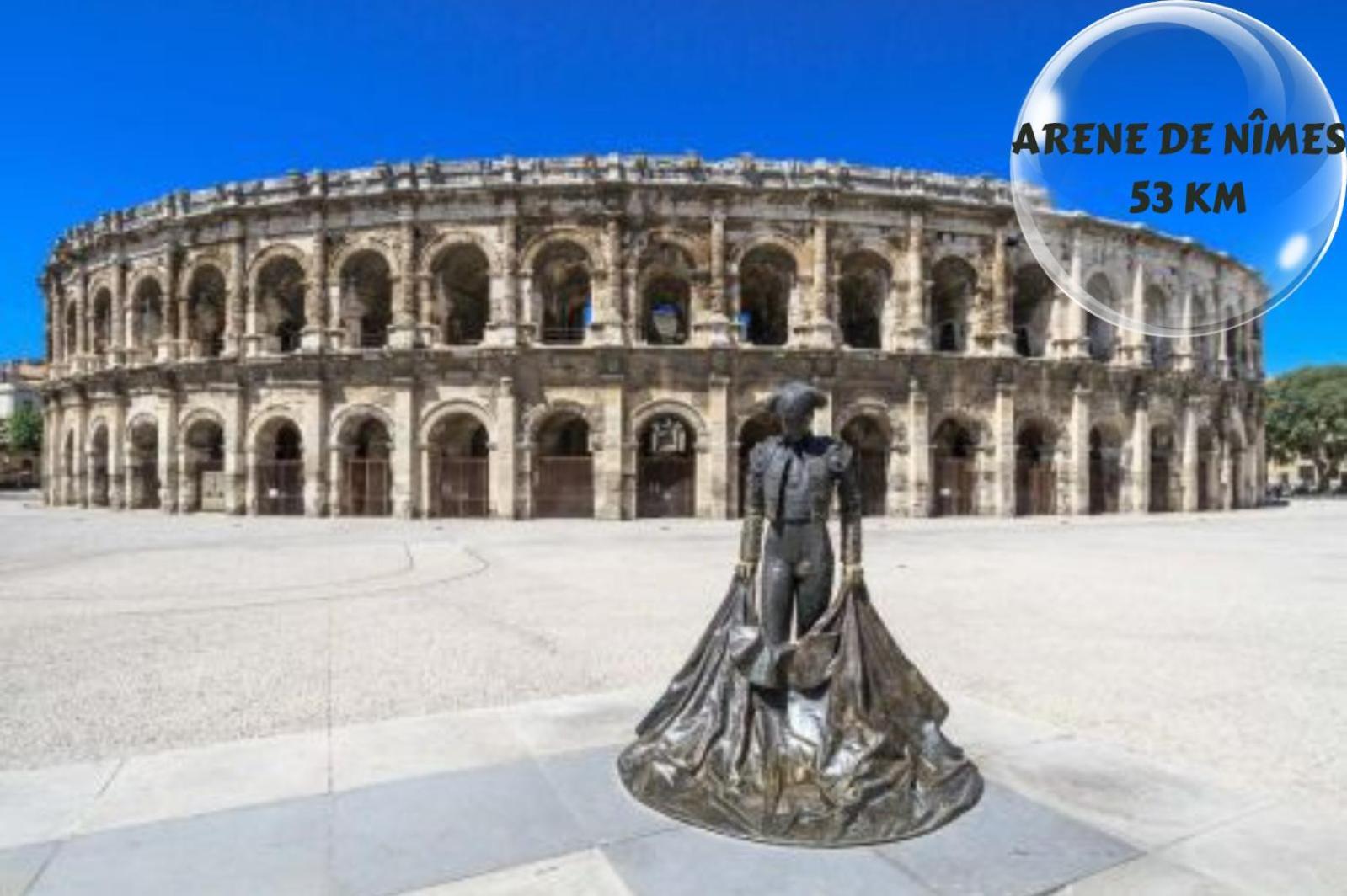 Le Cosy Du Gal, A 2 Pas Du Palais Des Papes Parking Gratuit Securise Apartment Avignon Ngoại thất bức ảnh